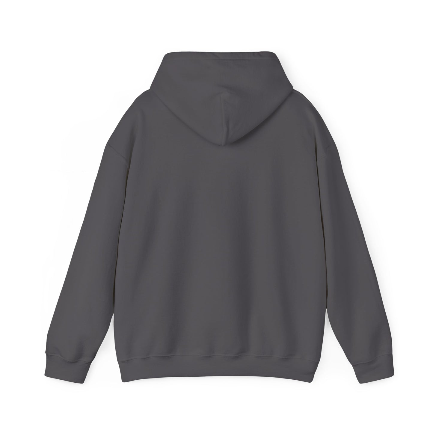 HDSM Simple Hoodie