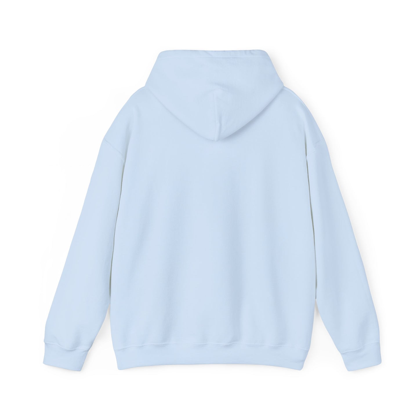 HDSM Simple Hoodie