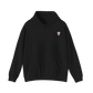 HDSM LIFTING CLUB GRAFITTI HOODIE